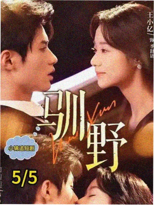 剧集《长安十二刻》海报